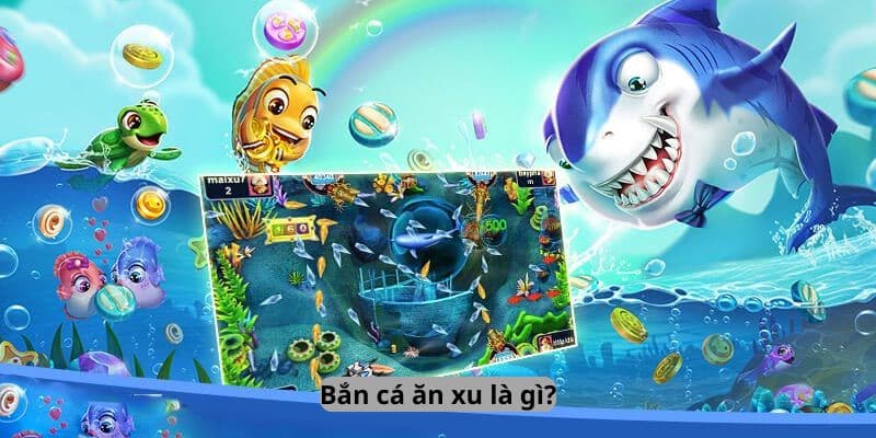 ban-ca-an-xu-la-gi
