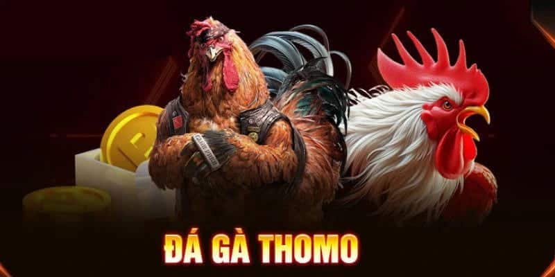 da-ga-thomo-anh-thumb