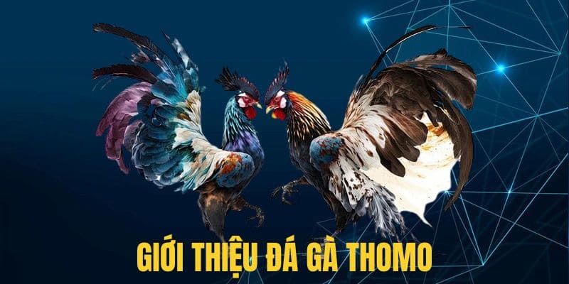 da-ga-thomo-gioi-thieu