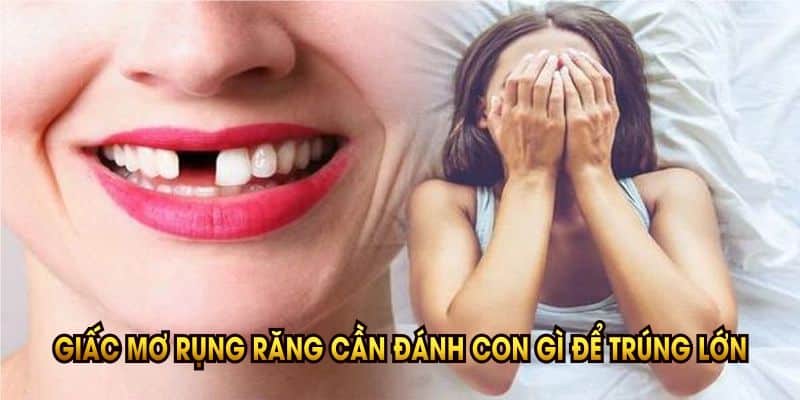 giac-mo-rung-rang-can-danh-con-gi