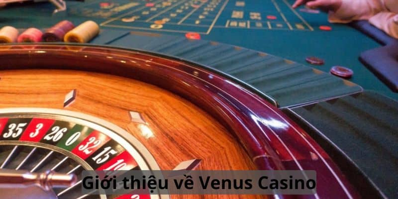 gioi-thieu-ve-venus-casino
