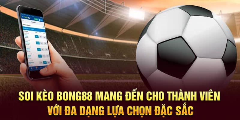 Khám Phá Thế Giới Của Bong 88 – Hướng Dẫn Toàn Diện