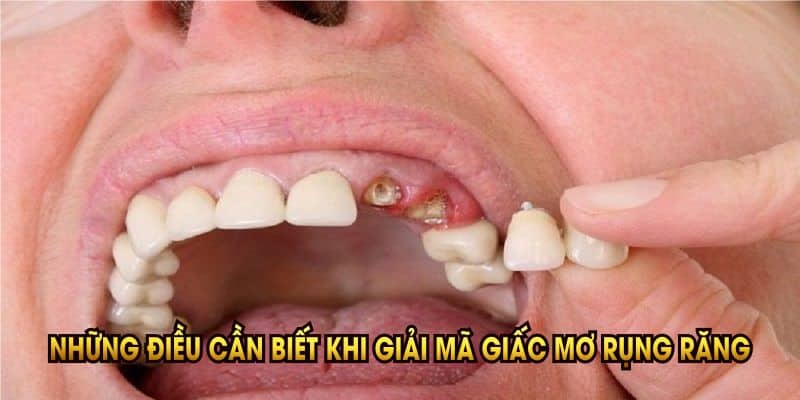 nhung-dieu-can-biet-khi-giai-ma-giac-mo-rrung-rang